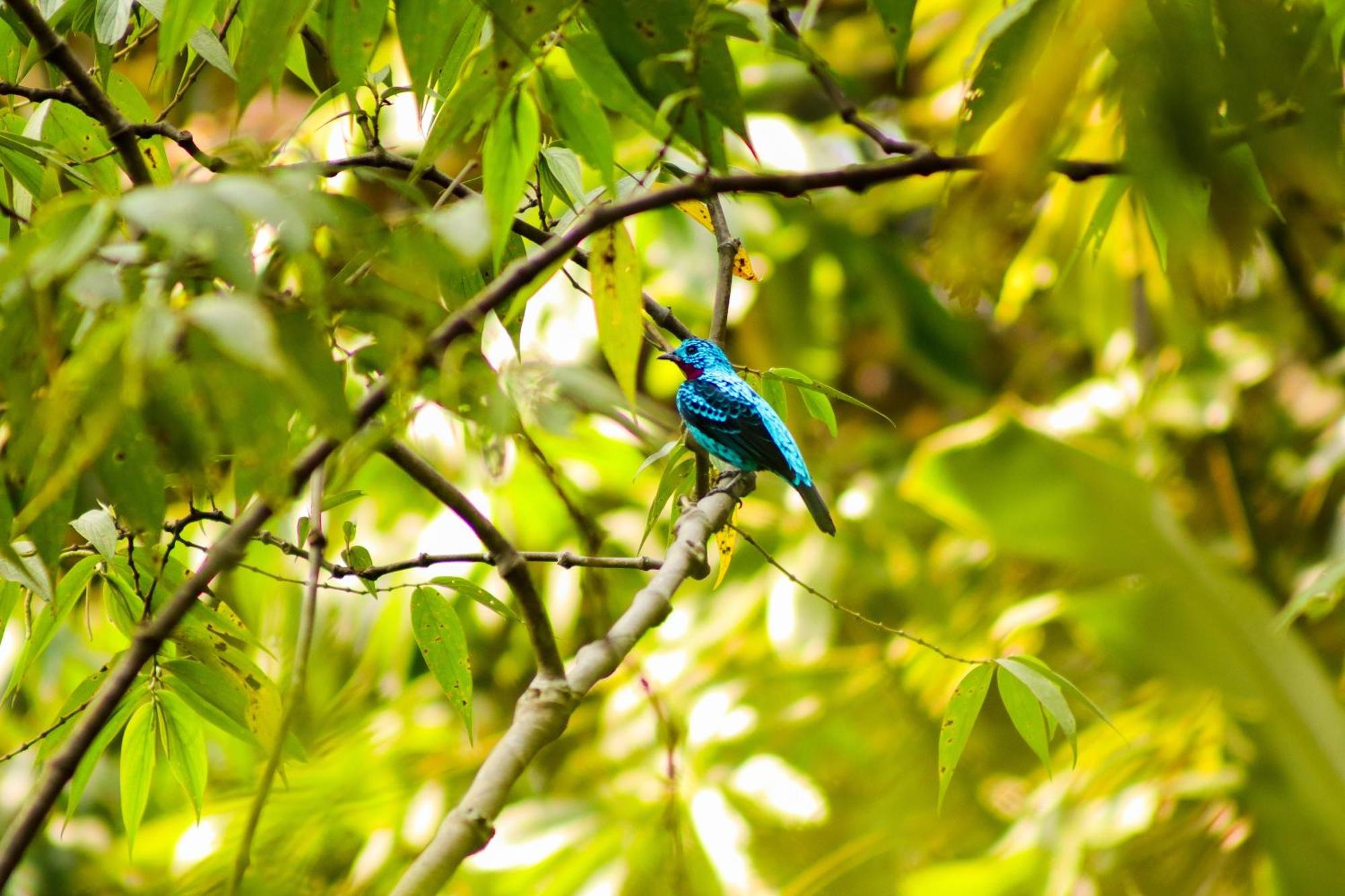 Pousada Paraiso Do Calango Azul 菲格雷多总统镇 外观 照片