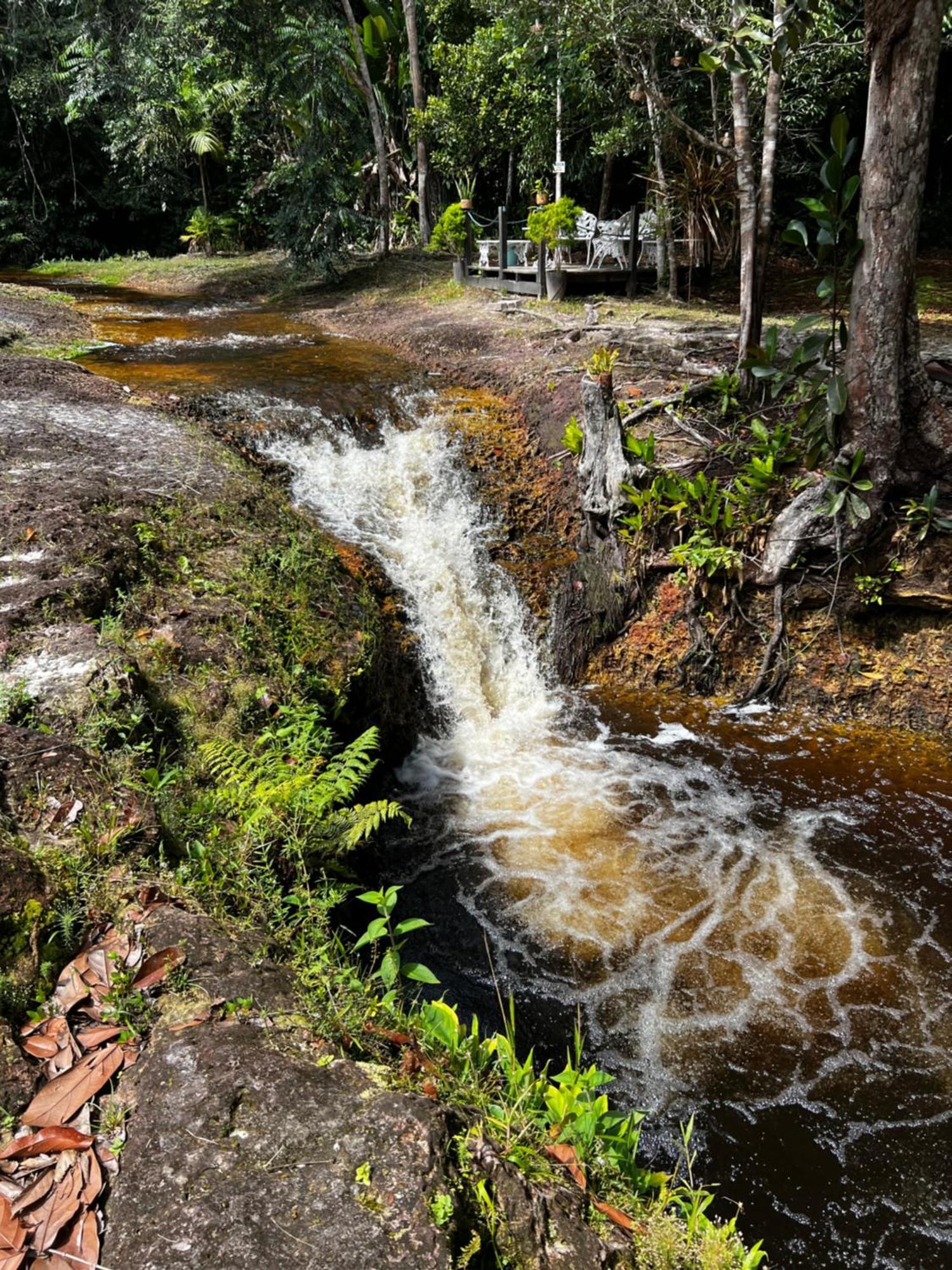 Pousada Paraiso Do Calango Azul 菲格雷多总统镇 外观 照片