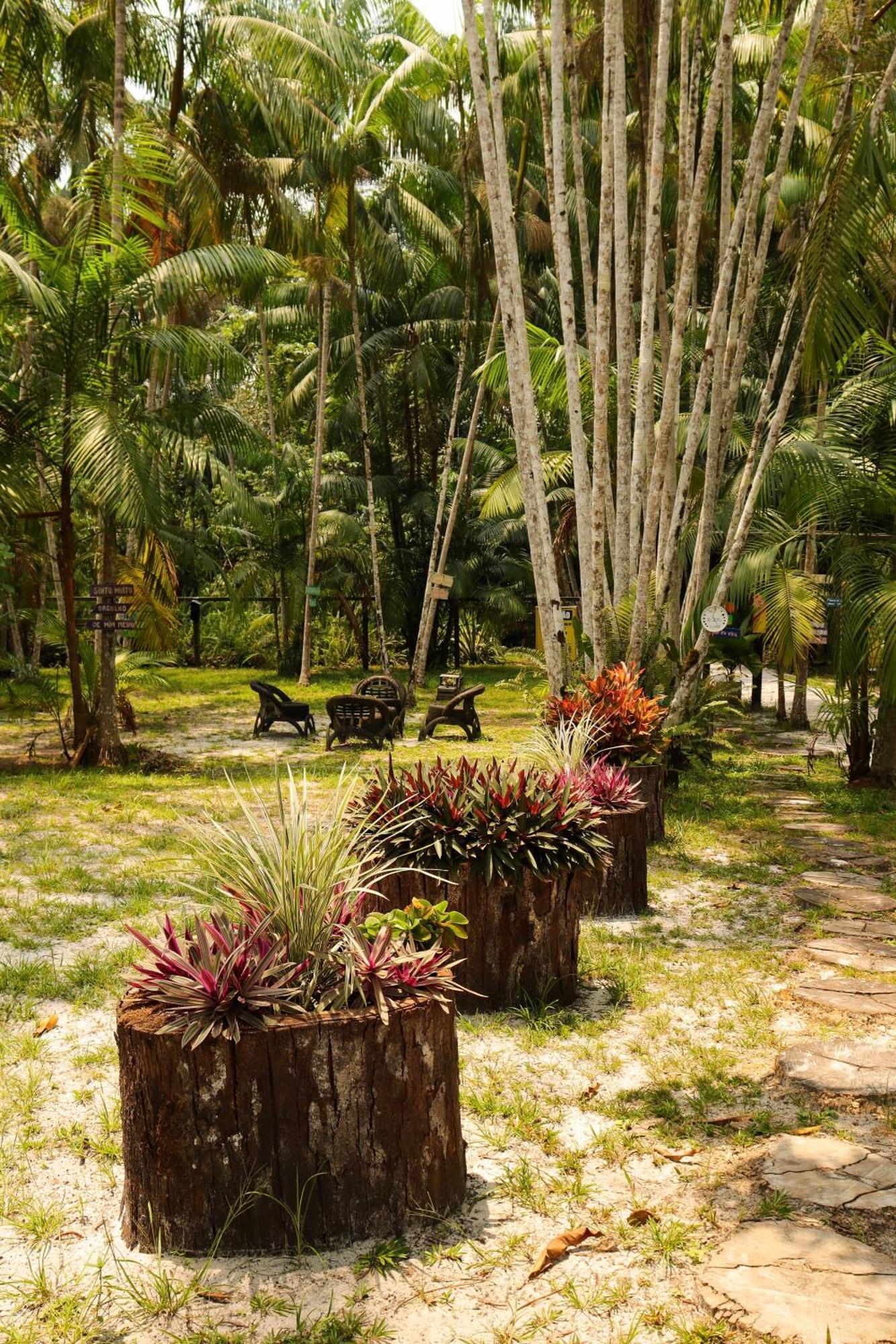 Pousada Paraiso Do Calango Azul 菲格雷多总统镇 外观 照片